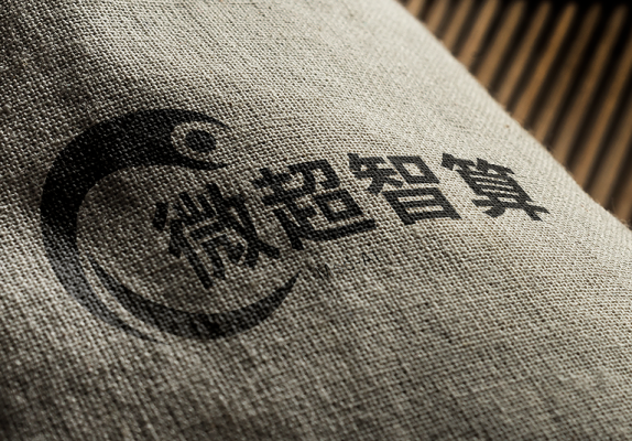 微超智算企業公司logo設計案例
